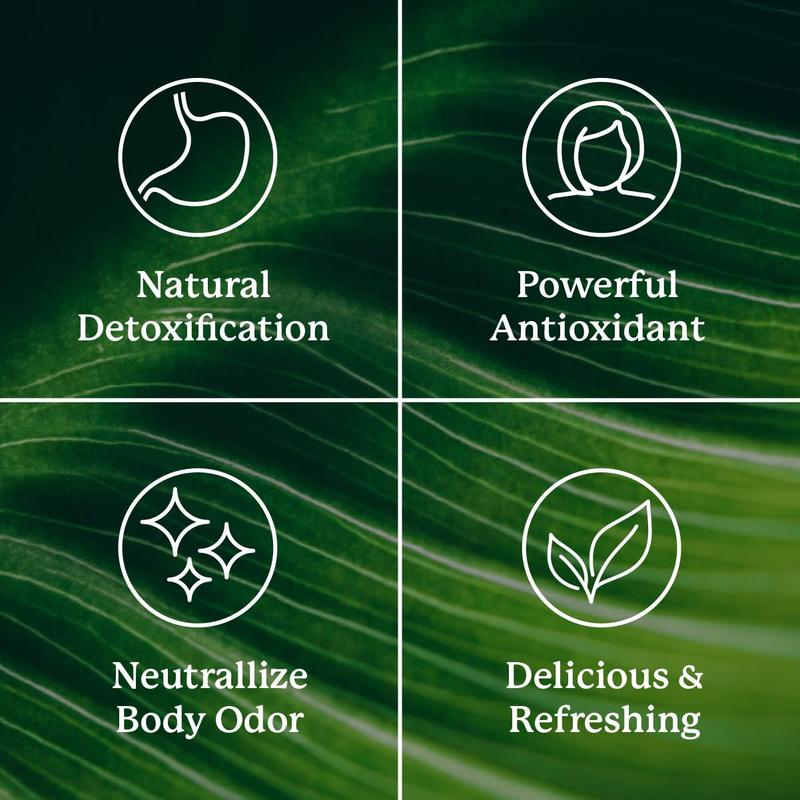Chlorophyll Glow Sticks