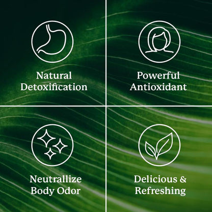 Chlorophyll Glow Sticks
